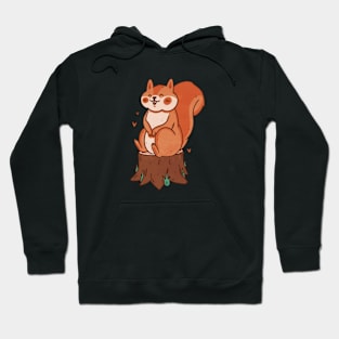 Squirrel Whisperer Funny Forest Animal Squirrel Lover Hoodie